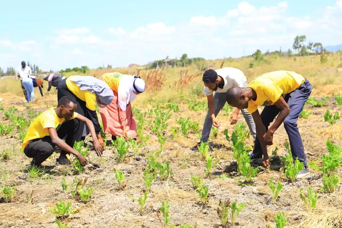 School of Agriculture learning environment at ICS Technical College